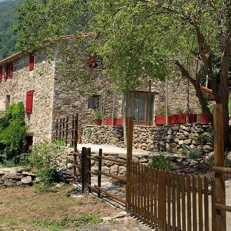 Appartamento Mas Graffouil Prats-de-Mollo-la-Preste Esterno foto