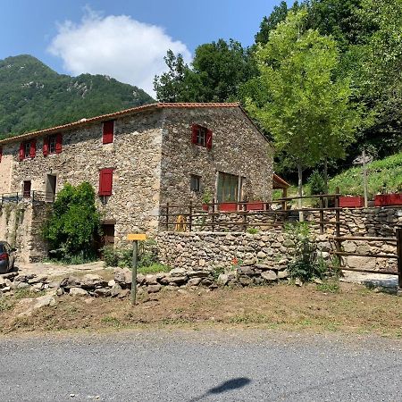 Appartamento Mas Graffouil Prats-de-Mollo-la-Preste Esterno foto