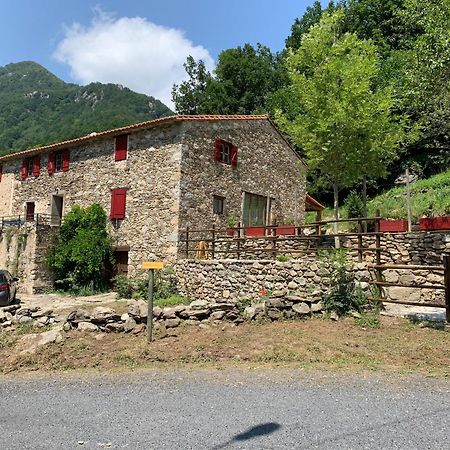 Appartamento Mas Graffouil Prats-de-Mollo-la-Preste Esterno foto