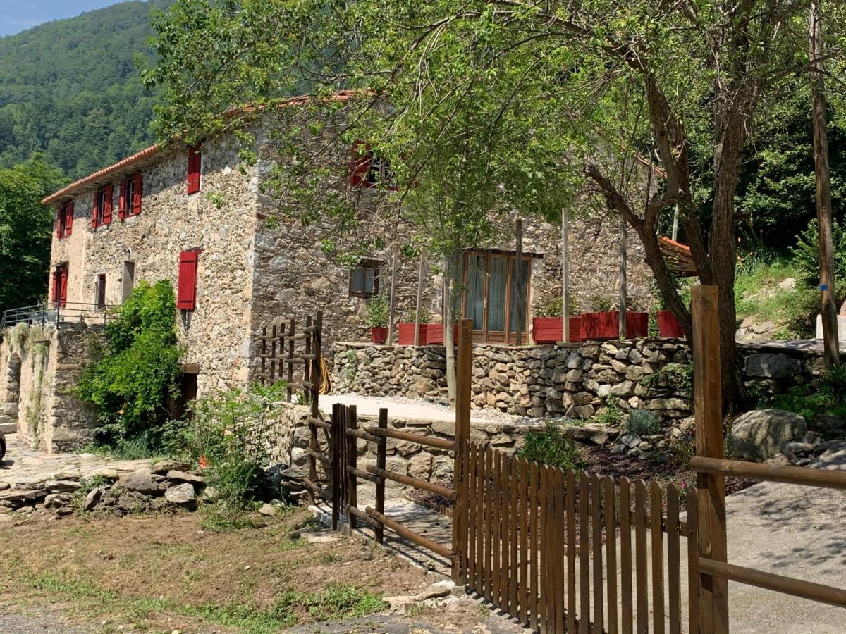 Appartamento Mas Graffouil Prats-de-Mollo-la-Preste Esterno foto