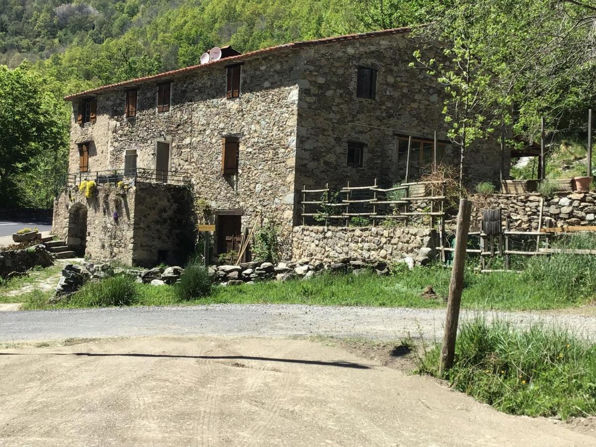 Appartamento Mas Graffouil Prats-de-Mollo-la-Preste Esterno foto