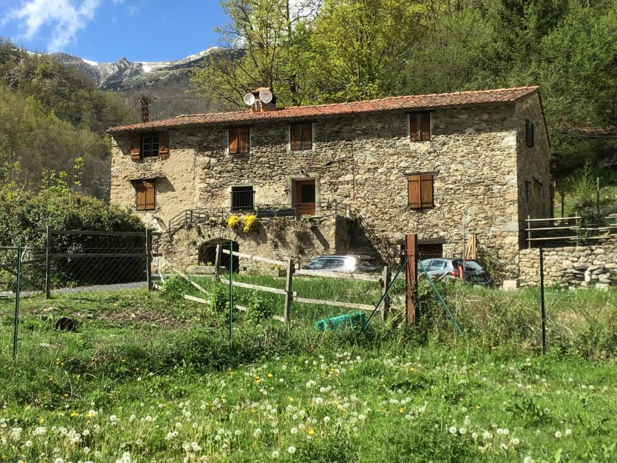 Appartamento Mas Graffouil Prats-de-Mollo-la-Preste Esterno foto