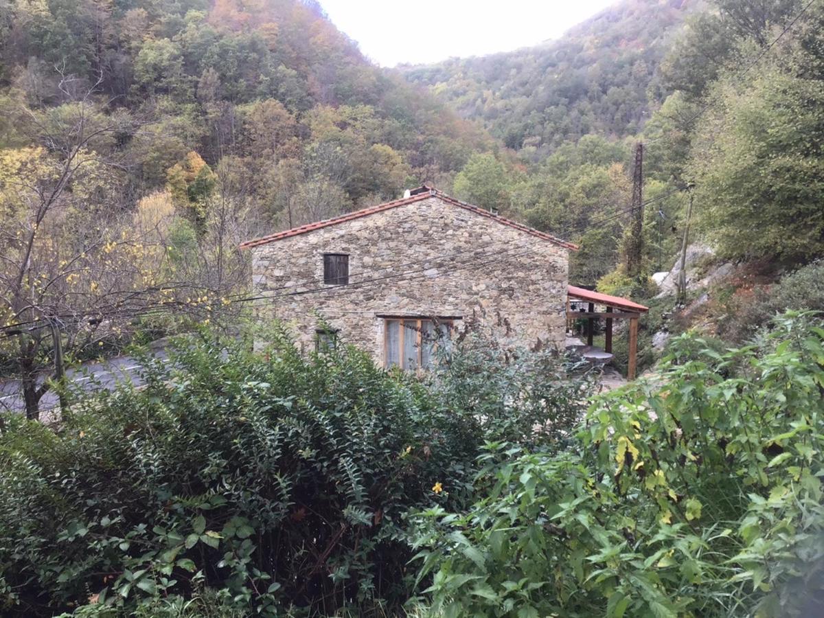 Appartamento Mas Graffouil Prats-de-Mollo-la-Preste Esterno foto