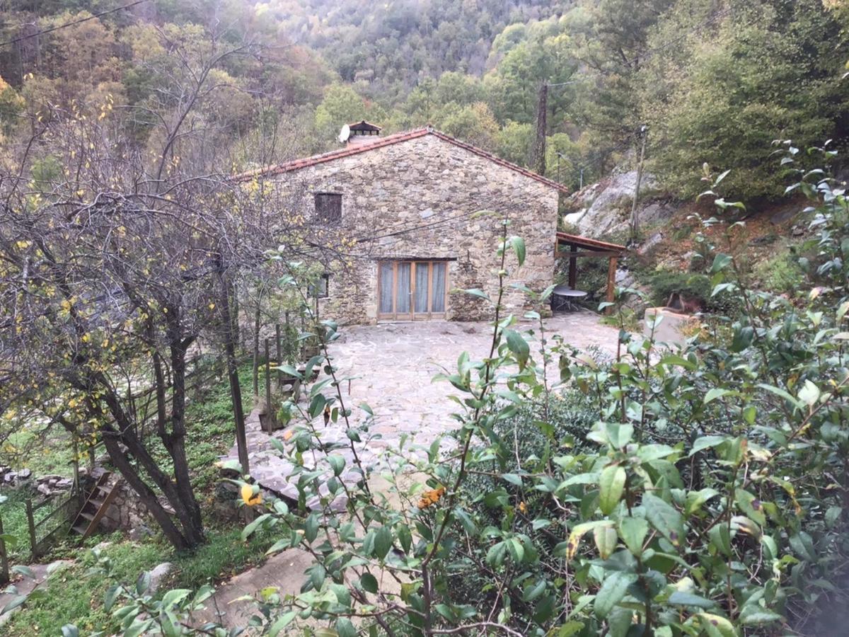 Appartamento Mas Graffouil Prats-de-Mollo-la-Preste Esterno foto