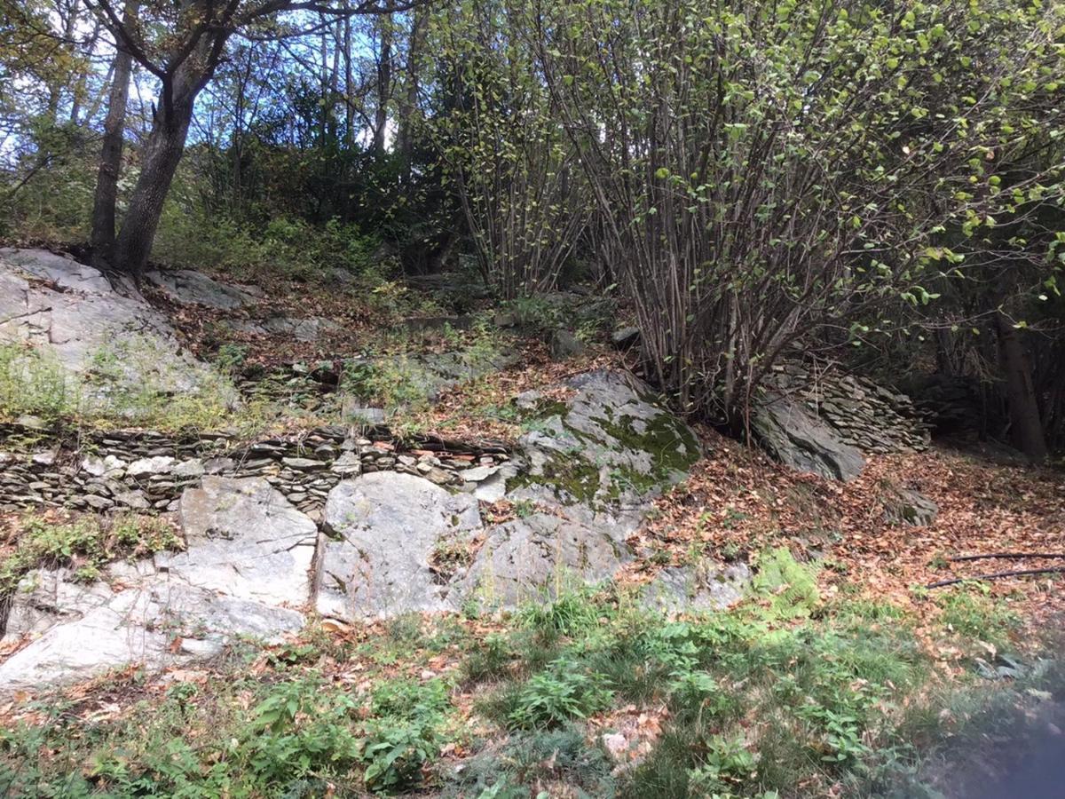 Appartamento Mas Graffouil Prats-de-Mollo-la-Preste Esterno foto