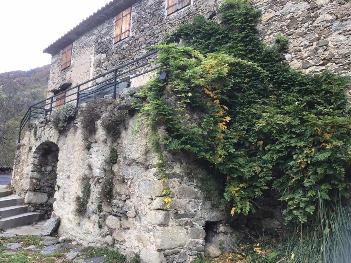 Appartamento Mas Graffouil Prats-de-Mollo-la-Preste Esterno foto